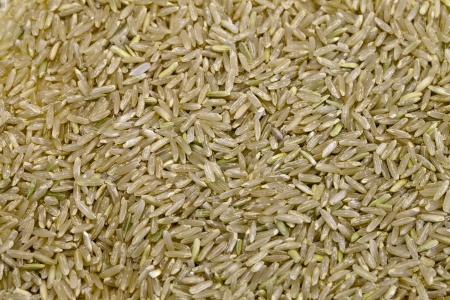 Grain wild rice photographed close upの写真素材
