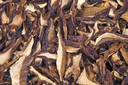 Tubular mushrooms, dried for cooking, photographed close upの写真素材