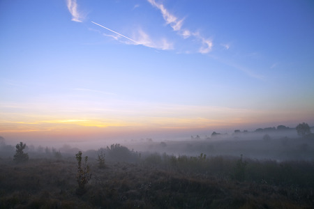 Meadow and bushes at sunrise in the fog in autumnの写真素材
