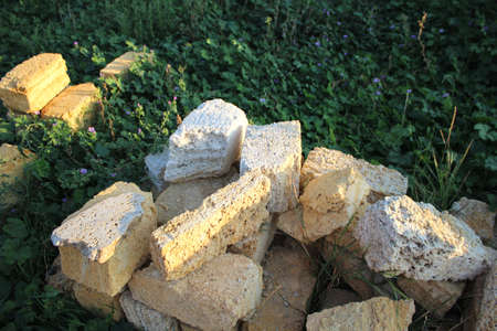 Ancient building material shell rock. Lies in a heap on the grass.の写真素材