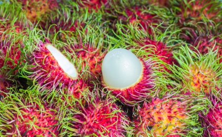 Tropical fruit, rambutan isolate on white backgroundの写真素材