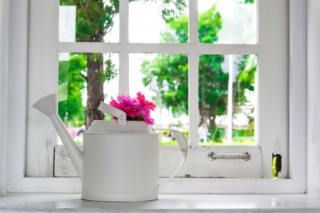bouquet of colorful  flowers on a windowの写真素材