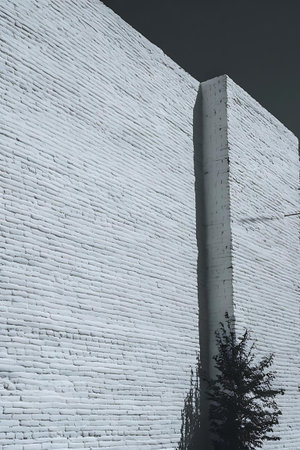 a white brick wall with a tree in frontの素材