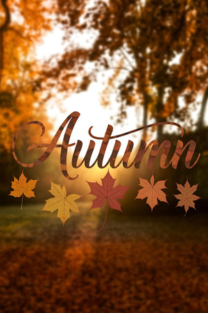 autumn text with leavesの素材