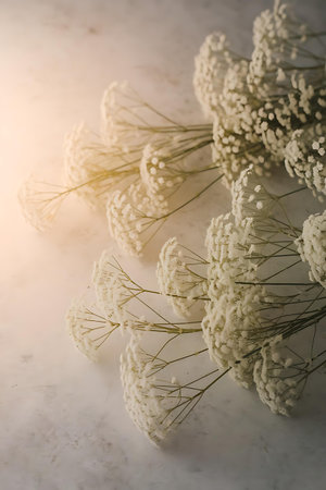 a bunch of white flowers on a marble surfaceの素材