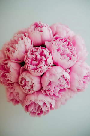 pink peonie peonie peonie peonie peonie peonie peonie peonie peonie peの素材
