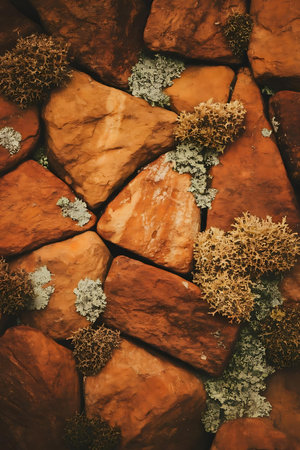a bunch of rocks with moss growing on themの素材