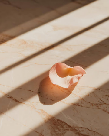 a pink flower sitting on top of a marble floorの素材