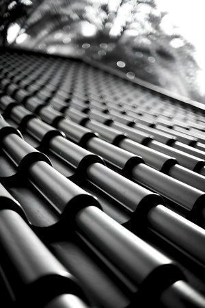 a black and white photo of a roofの素材