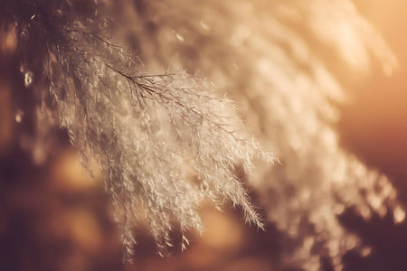 a close up of a branch with snow on itの素材