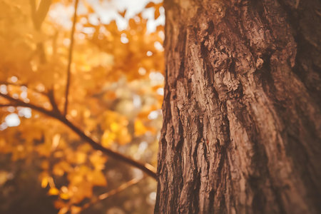 a close up of a tree trunk with a yellow leafの素材