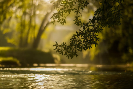 a tree branch hanging over a body of waterの素材