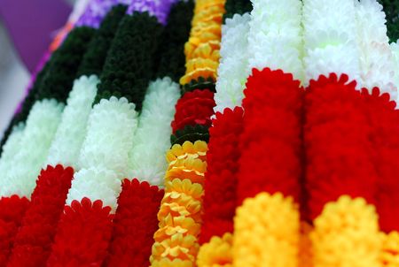 flowerの写真素材