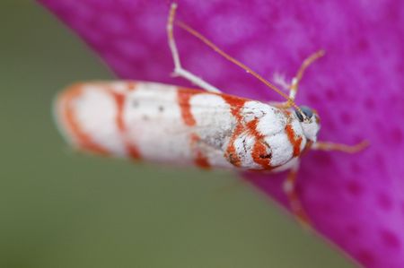 nature inの写真素材