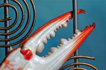 crab and iron coil                           の写真素材