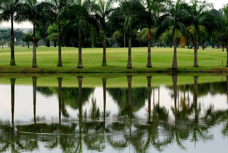 golf courseの写真素材