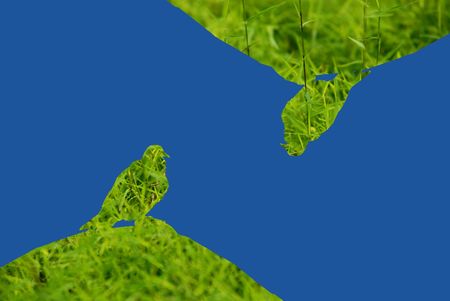 paper cutting の写真素材