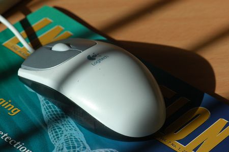 mouse on the table の写真素材