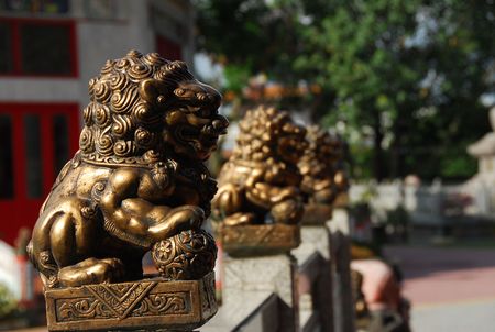 bronze lion in front of the temple の写真素材