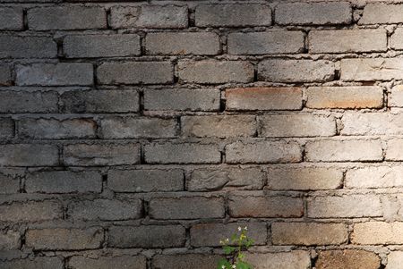 bricks wall and house at the countrysideの写真素材