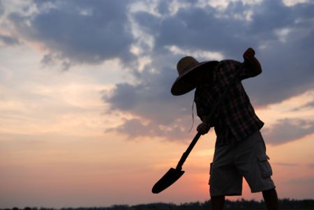 sunset and farmer working at the paddy field の写真素材