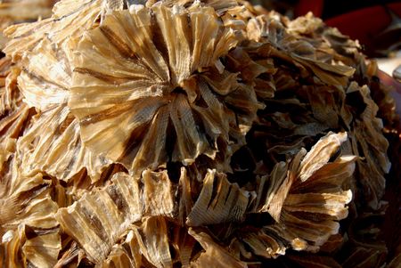dried sea foods selling at the market
