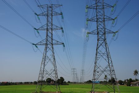 high tension wire and tower in the paddy field 
