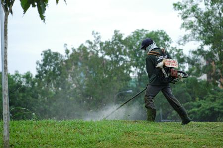 worker cutting grass in the schoolの写真素材