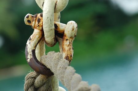 rusty chins at the seaside の写真素材