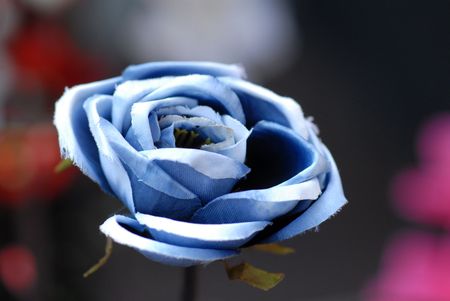 cloth flower display at the store の写真素材