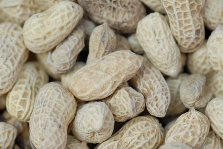 peanut display in the foods store