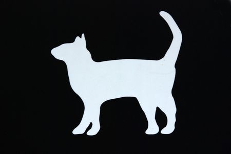 white color cat on the walls 