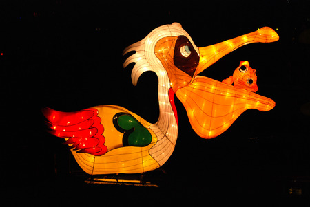 duck lantern in the Chinese gardensの写真素材