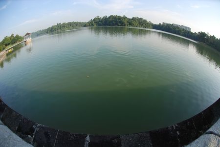 Reservoir and plantsの写真素材