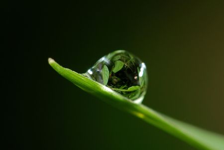 water and leaf in the gardensの写真素材