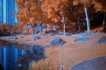 Infrared photo  tree and lake in the parks の写真素材