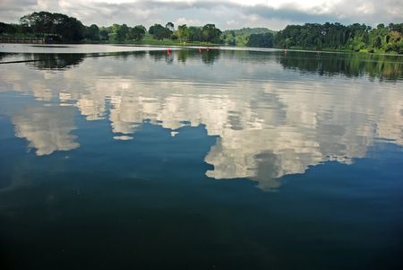 plant, clouds  and water in the reservoirsの写真素材
