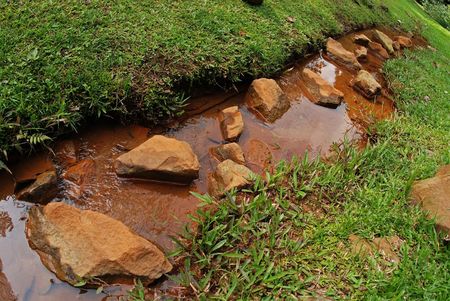 small stream in the parksの写真素材