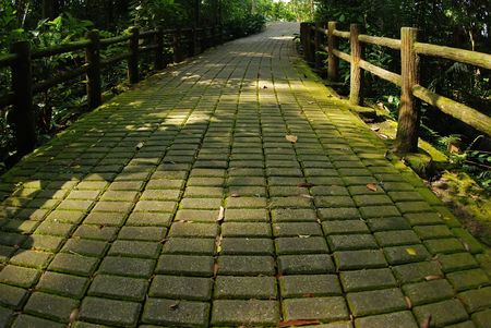 walk path in the parks