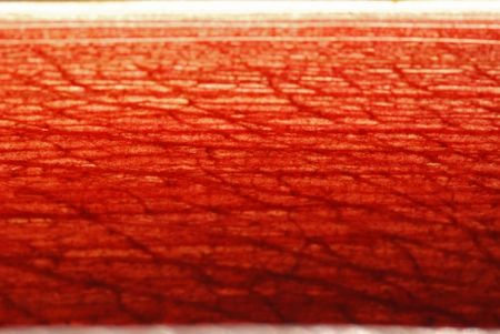 big red yam stalk in the gardensの写真素材