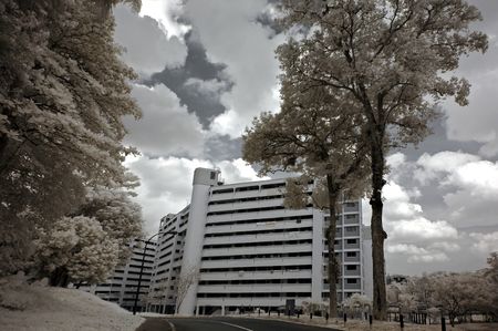 Infrared photo – tree, skies building in the parks 