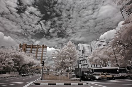 Infrared photo  tree, road, flower, building in the parks の写真素材