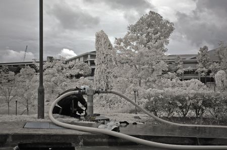 Infrared photo-fire drill in the parks の写真素材