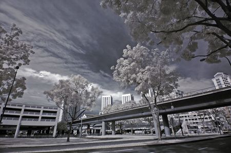 Infrared photo- tree and train track in the cityの写真素材