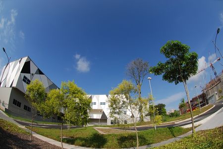 tree and modern building in the parksの写真素材