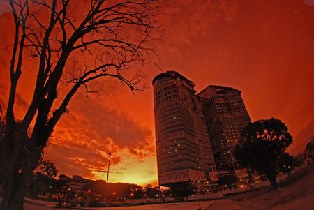sunset, modern building and tree in the cityの写真素材