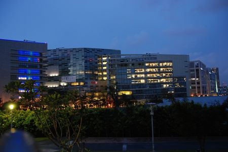 sunset, modern building and tree in the cityの写真素材