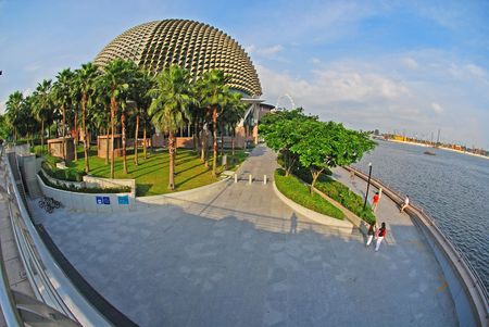 modern building and palm in the cityの写真素材