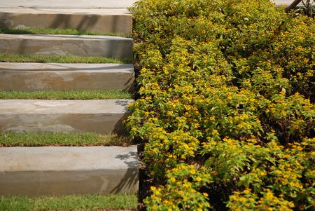 step and plant inside the horticulture parks