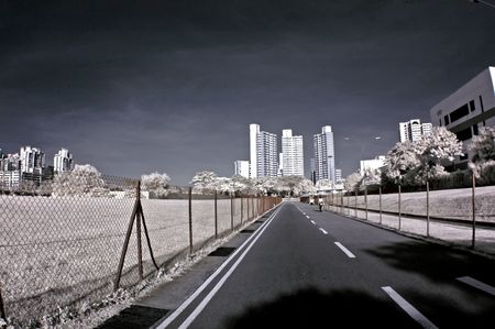 Infrared photo  building, road and tree in the parksの写真素材